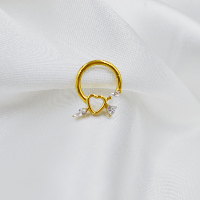 10 peças Argola Clicker de Tit - Helix Cartilage Ring avaliação e preço