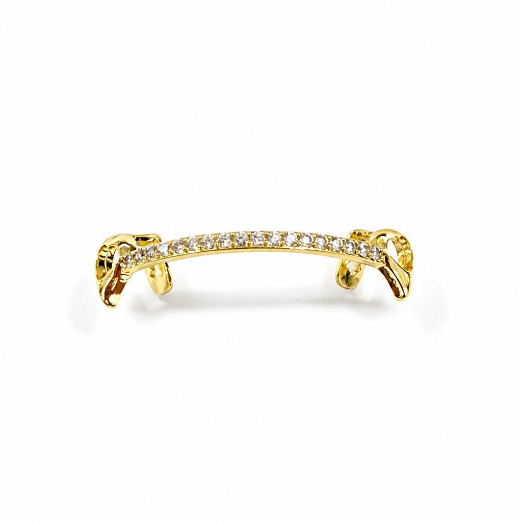 Aparelhos dentários com incrus - Body Jewelry Europe avaliação e preço